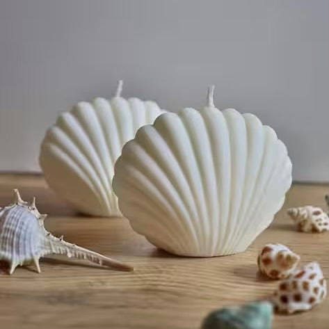 Luxury Seashell Candle – Strongly Scented Handcrafted Soya Wax | Premium Coastal Décor Candle